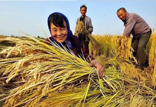 重磅！繼包產(chǎn)到戶之后，我國農(nóng)村又一次迎來重大改革