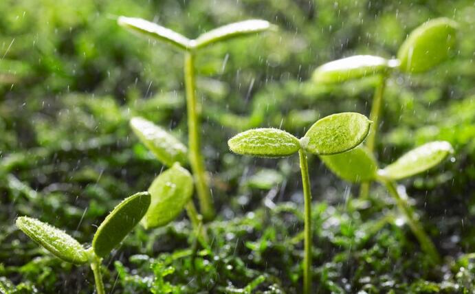 動態(tài) | 生物刺激劑多重效果大揭秘，可減少百萬噸氮肥的投入！